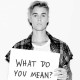 Justin Bieber�s �What Do You Mean?� Debuts At No. 1 on the Billboard�s Hot 100