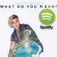 Justin Bieber�s �What Do You Mean?� Most Streamed Song on Spotify in a Week, Dethroning One Direction!